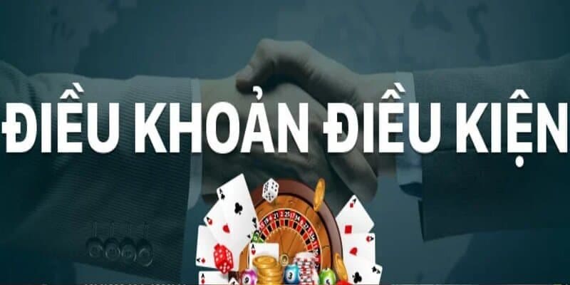 Mục đích và phạm vi áp dụng của các điều khoản điều kiện